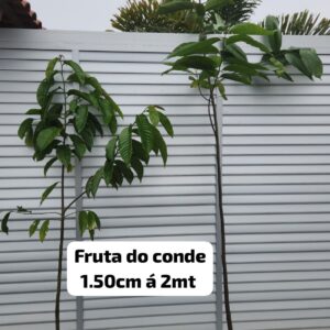 15,0 A 2,0